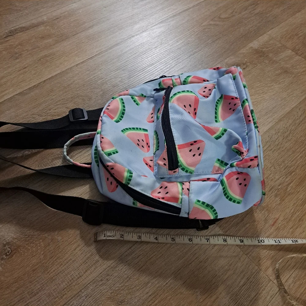 Kids Youth Girl's Blue Pink Watermelon Print Mini Backpack